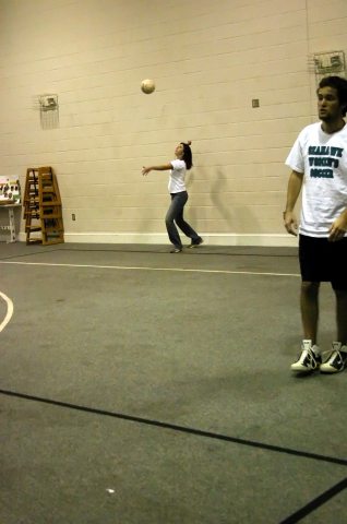 volleyball 042_filtered.jpg 23.5K
